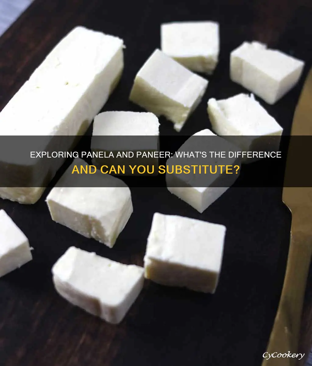 can I substitute panela for paneer