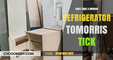 Can You Take a Broken Fridge to Tomorris Tick? Find Out!