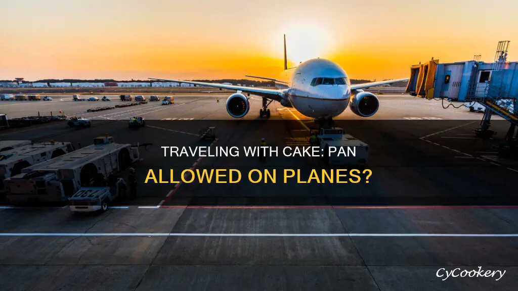 can I take a cake pan on a plane