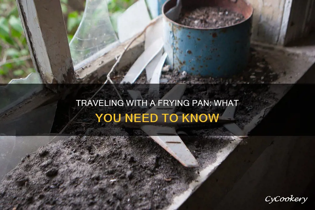 can I take a frying pan on a plane