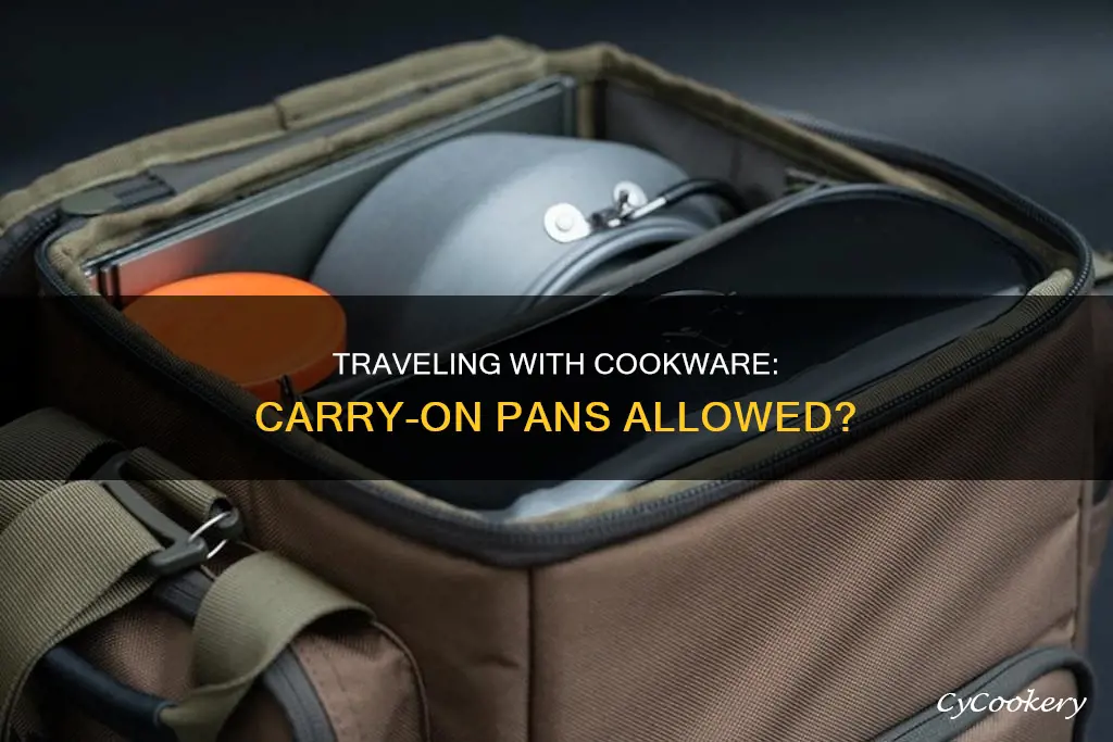 can I take a pan in my carry on
