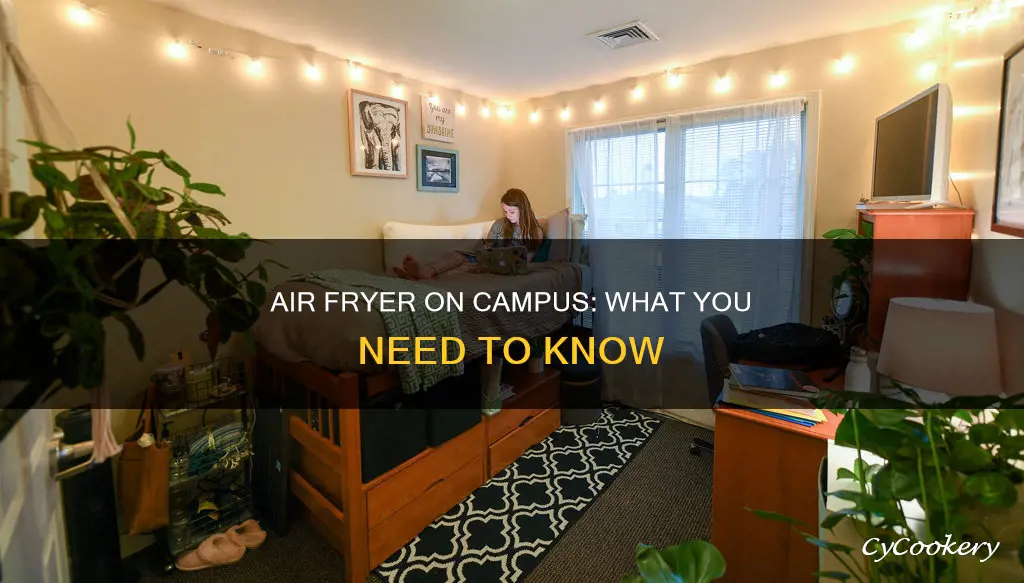 can i take an air fryer to college