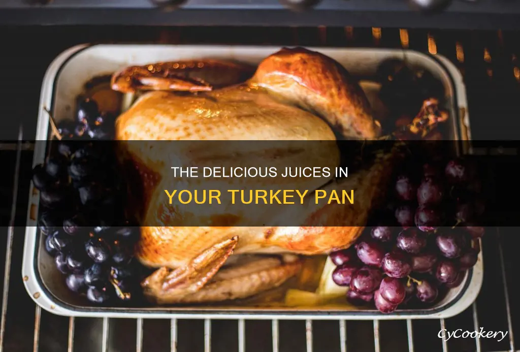 can I take out the liquid from the turkey pan