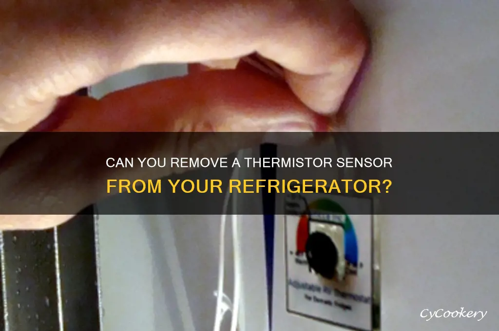 can i take out thermistor sensor in refrigerator