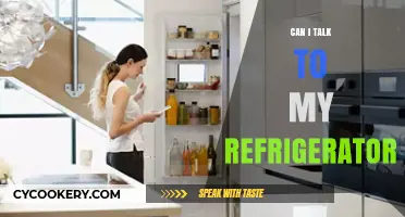 Can I Talk to My Refrigerator? Exploring Smart Home Communication