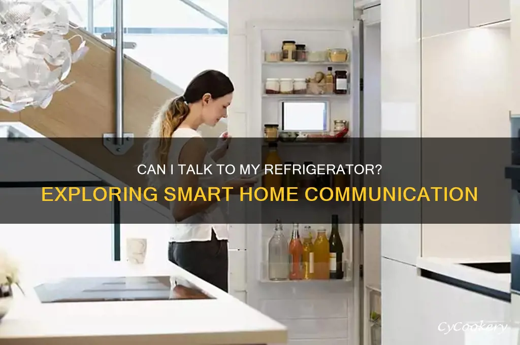 can i talk to my refrigerator