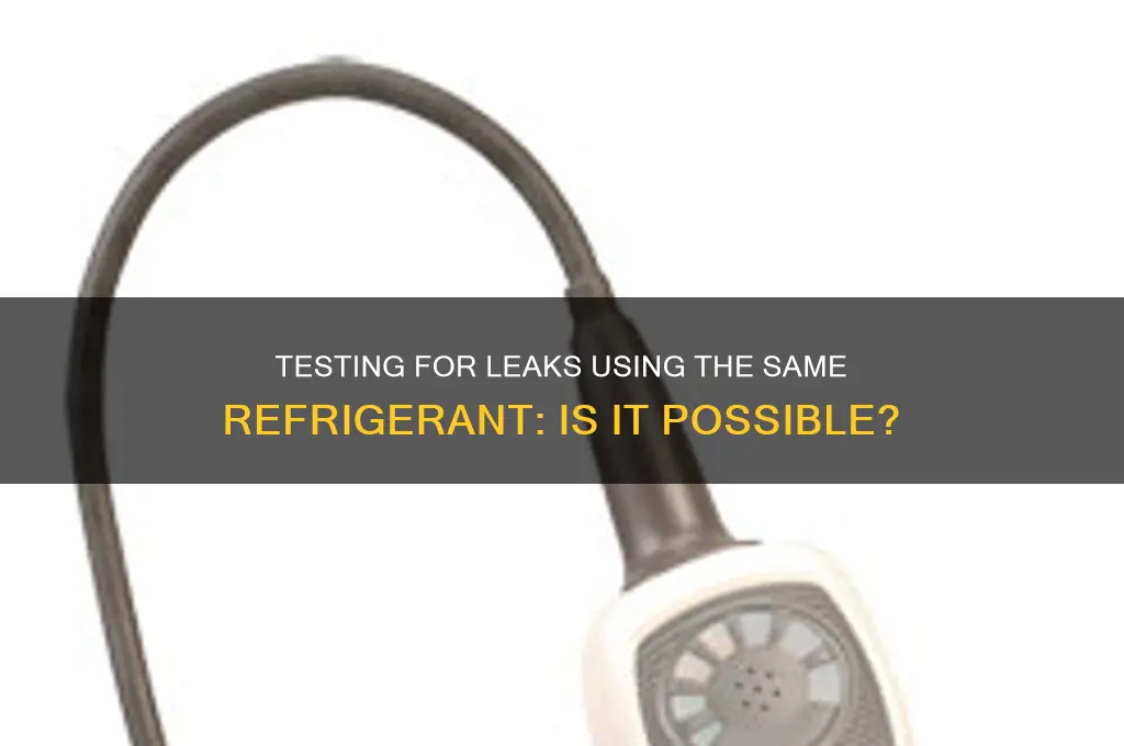 can i test for leaks with same refrigerant