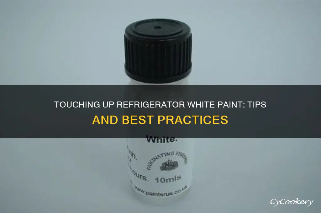 can i touch up refrigerator white paint