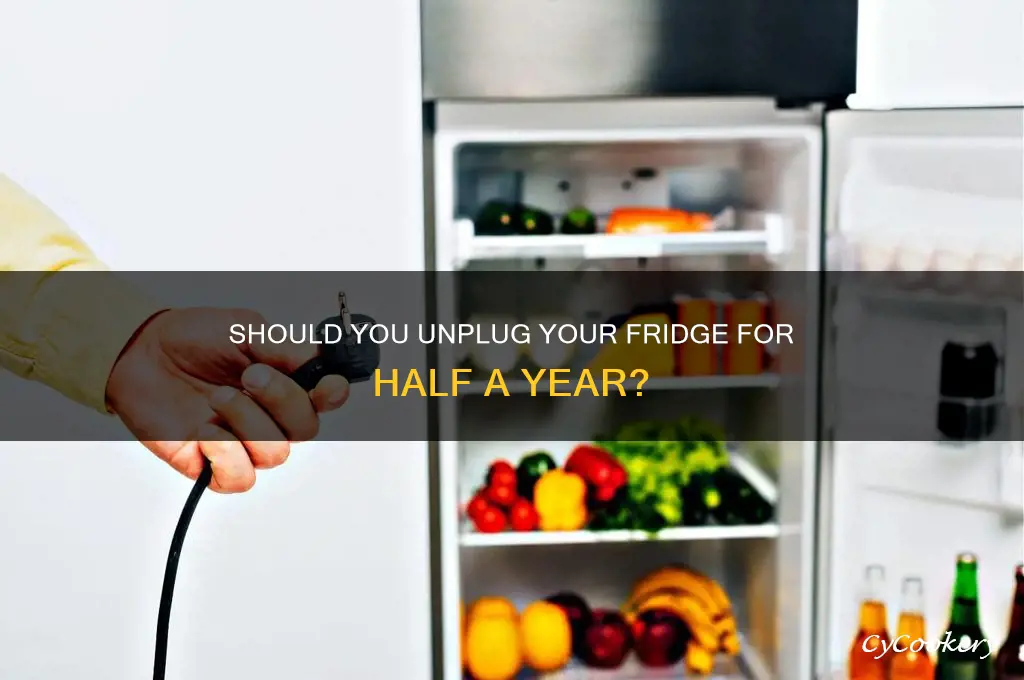 can i turn off my refrigerator for 6 months