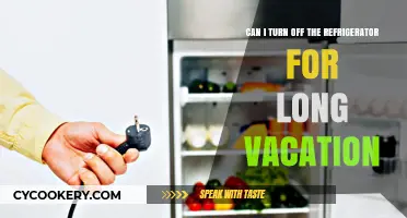 Should You Unplug Your Fridge Before a Long Vacation? Tips Inside