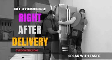 Can You Turn On a Refrigerator Right After Delivery? Expert Tips