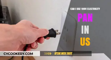 Using 100V Pans in the US: Is it Possible?