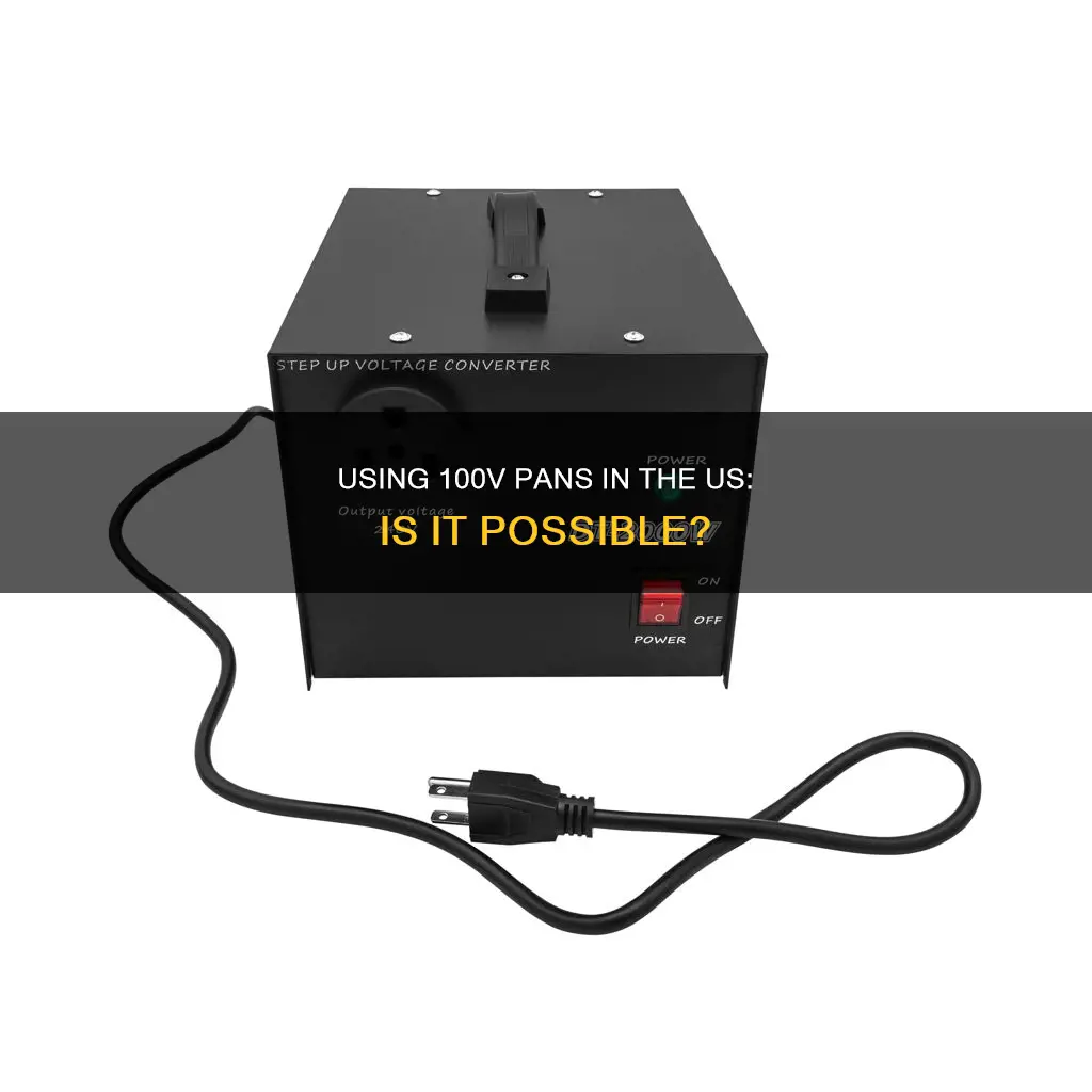 can I use 100v electricity pan in us