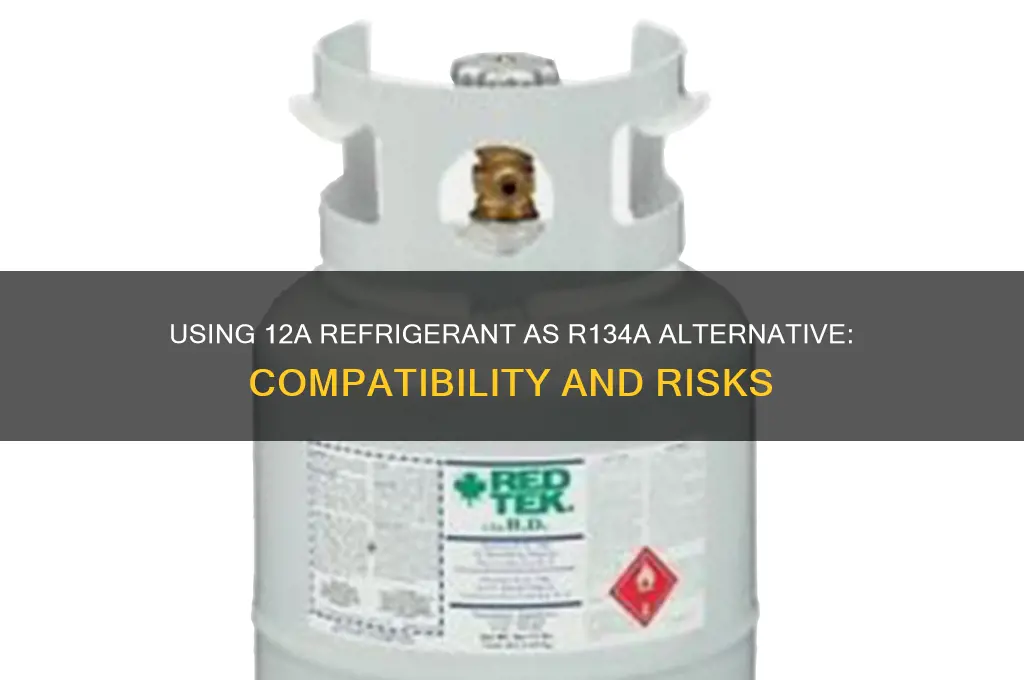 can i use 12a refrigerant instead of r134a
