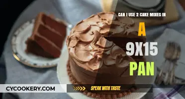 Baking Double: Using Two Cake Mixes in a 9x15 Pan