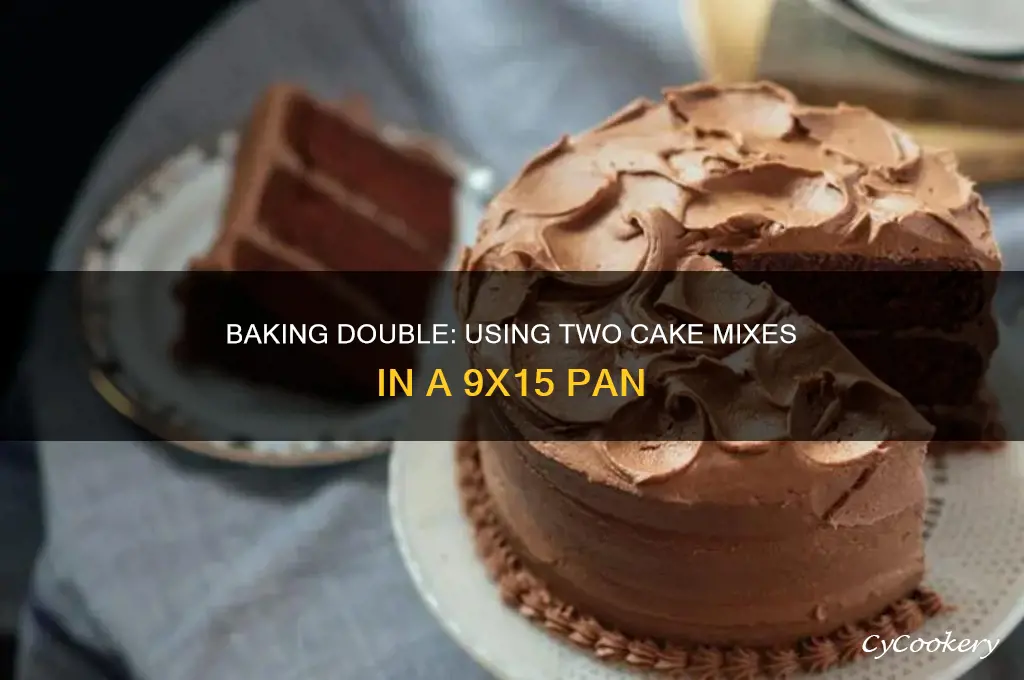 can I use 2 cake mixes in a 9x15 pan