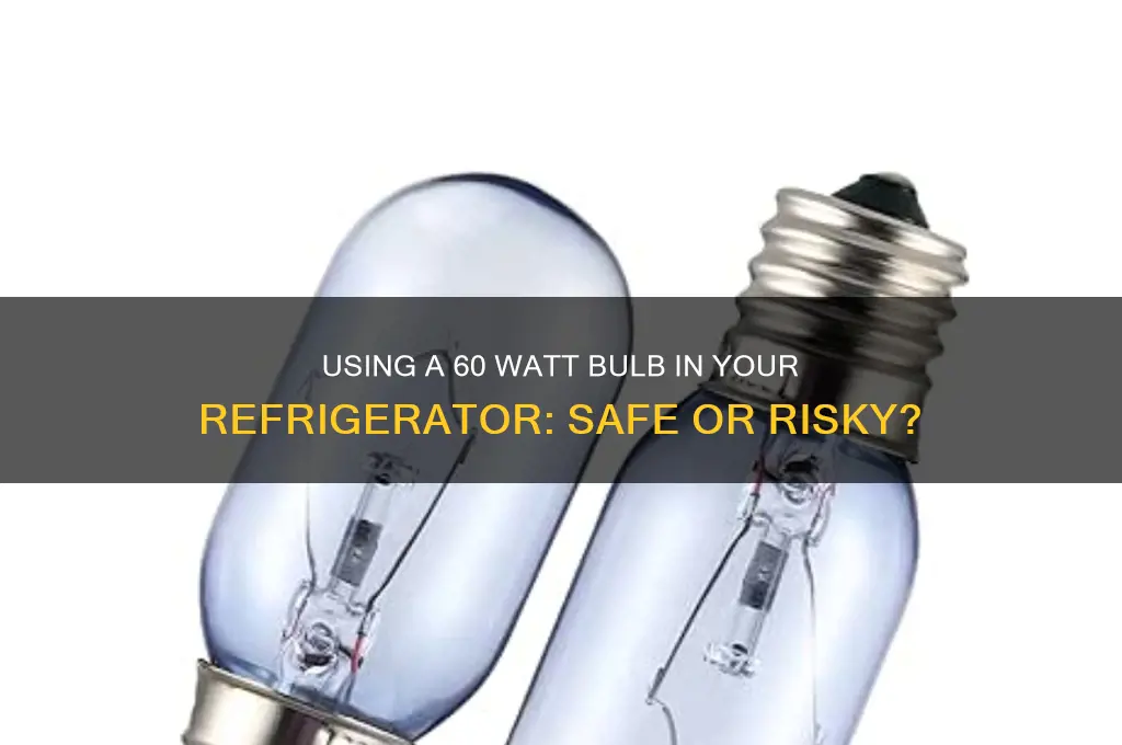 can i use a 60 watt bulb in my refrigerator