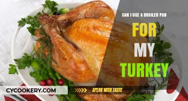 Broiler Pan Turkey: Is It a Good Idea?