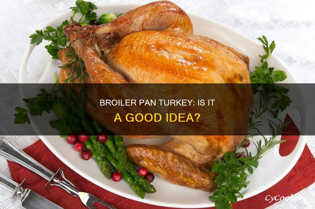 can I use a broiler pan for my turkey