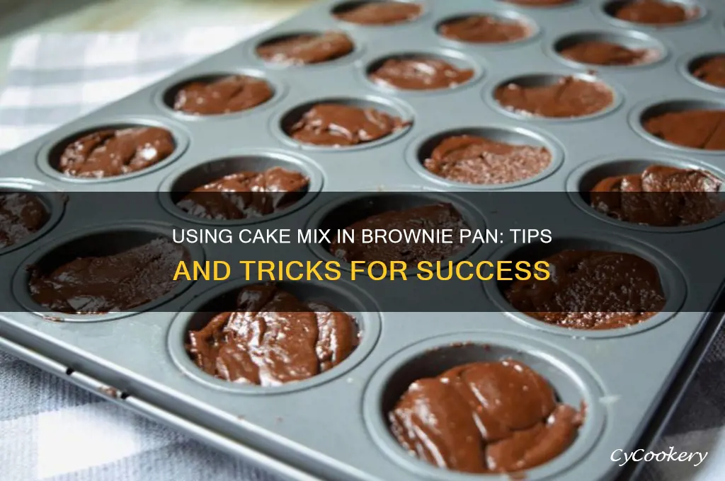 can I use a cake mix in my brownie pan