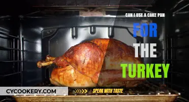 Creative Cake Pan: Roomy Roasting for Thanksgiving Turkey
