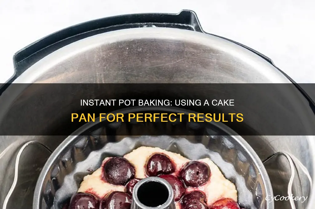 can I use a cake pan in an instant pot
