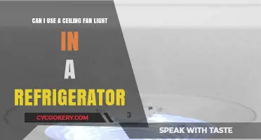 Ceiling Fan Light in a Fridge: Safe or Risky Idea?