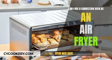 Convection Ovens: Air Fryer Substitute?