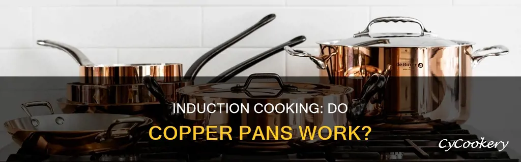 can I use a copper pan on induction