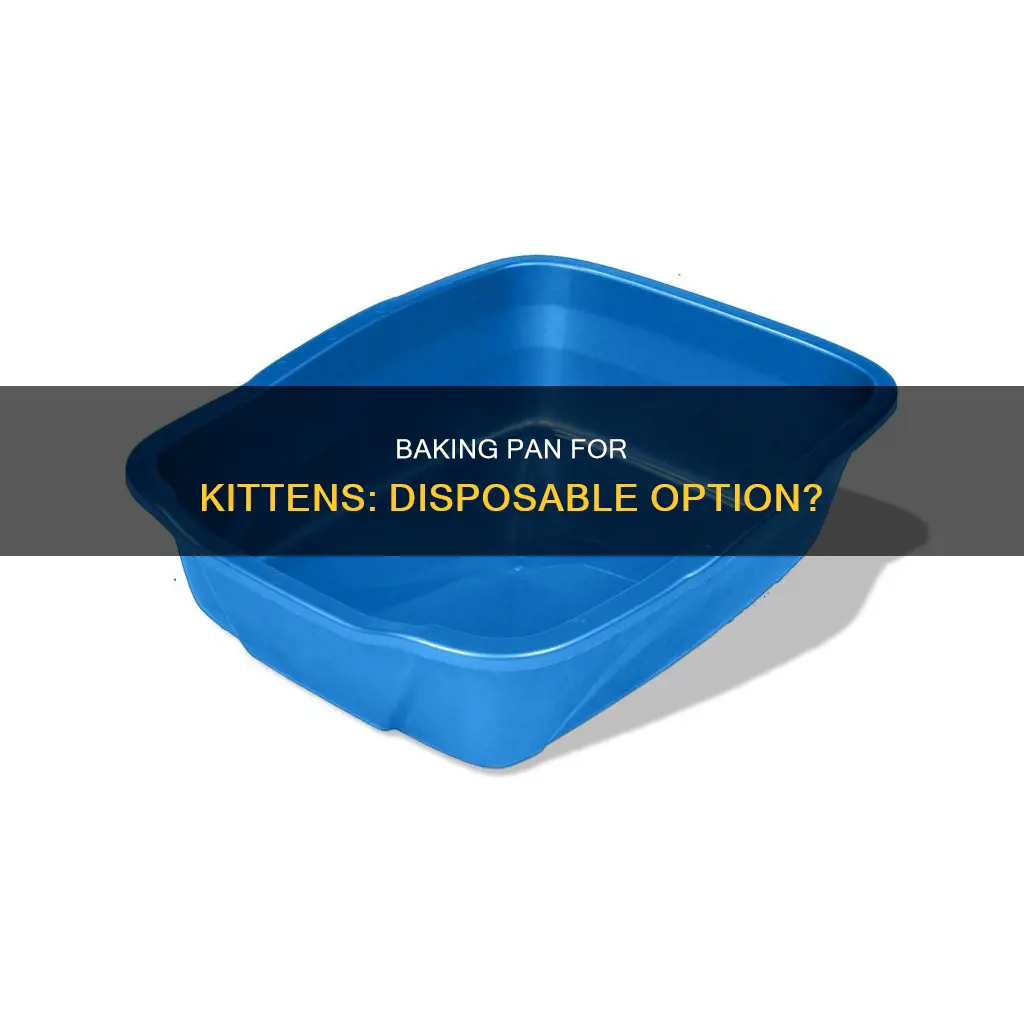 can I use a disposable baking pan for kittens