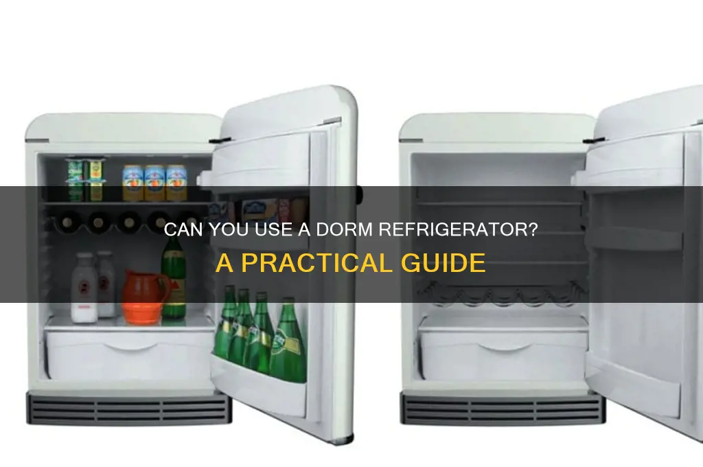 can i use a dorm refrigerator