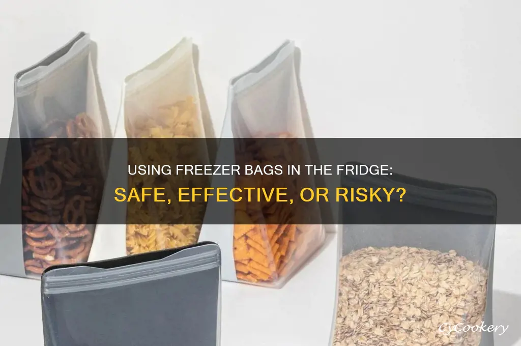 can i use a freezer bag in the refrigerator