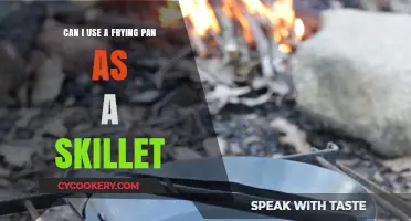 Frying Pan vs Skillet: What's the Difference?