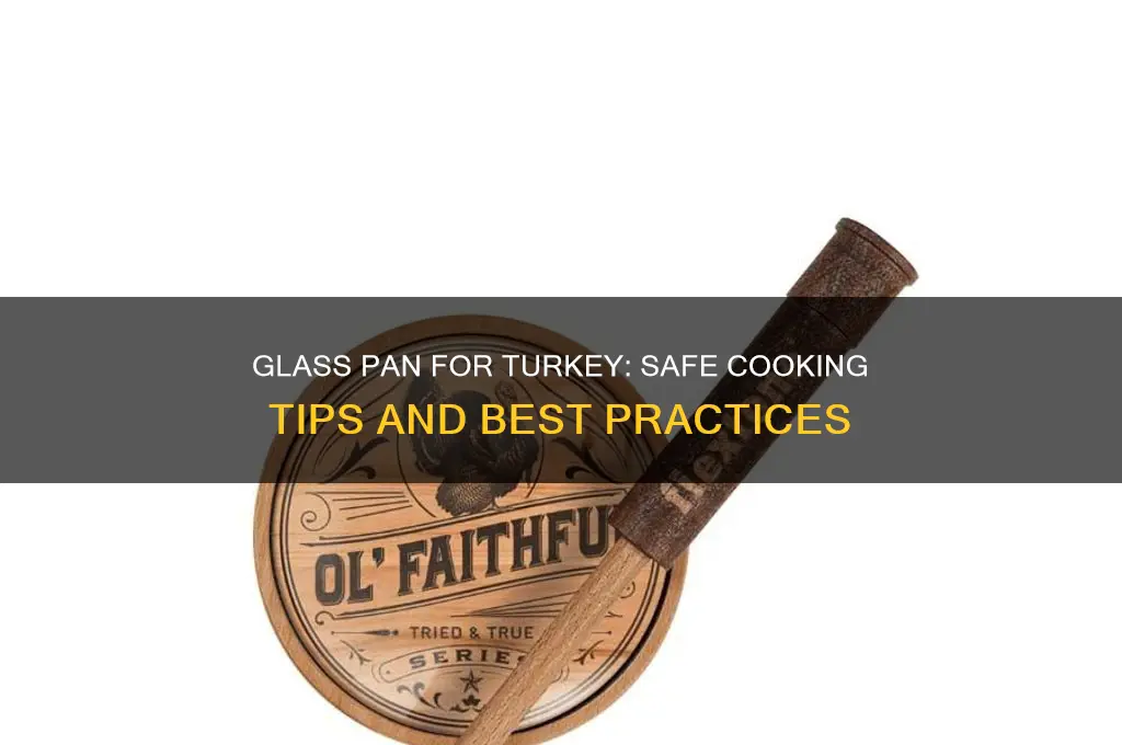 can I use a glass pan to cook a turkey