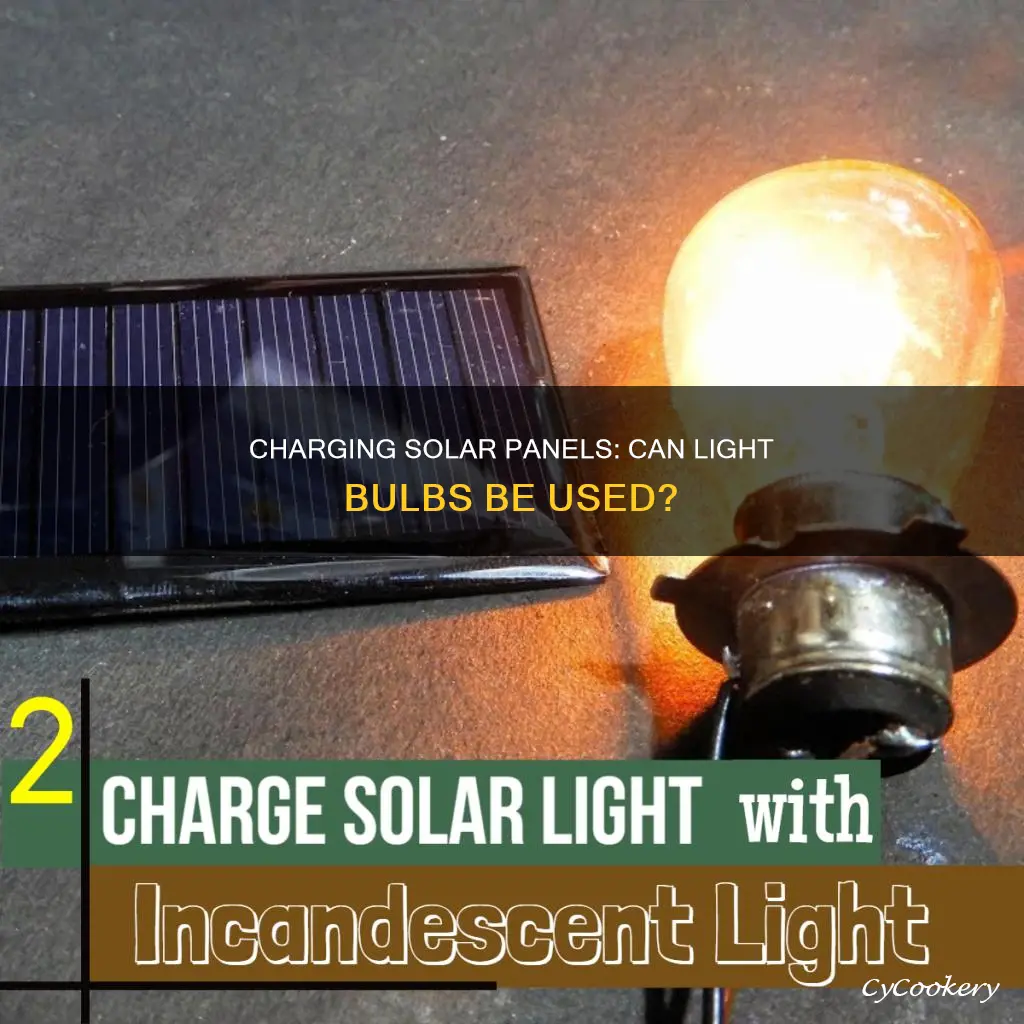 can I use a light bulb to charge solar pan