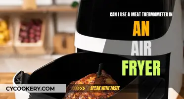 Meat Thermometer in an Air Fryer: Is It Possible?