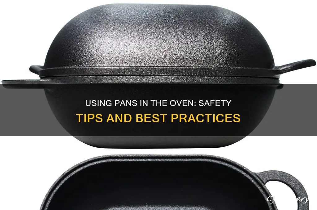 can I use a pan in the oven