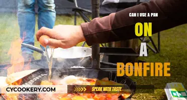 Bonfire Cooking: Can You Use a Pan?