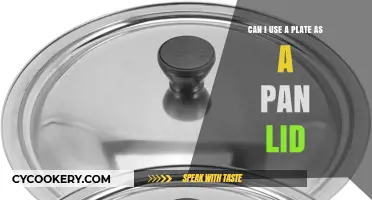 Using Plates as Pan Lids: A Smart Hack?