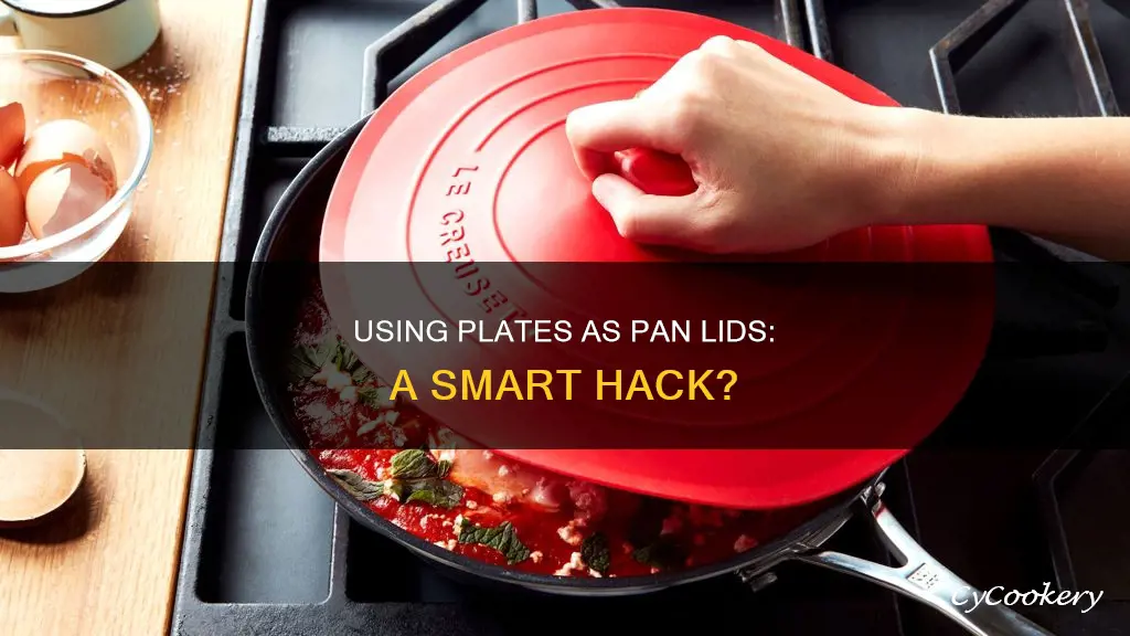 can I use a plate as a pan lid