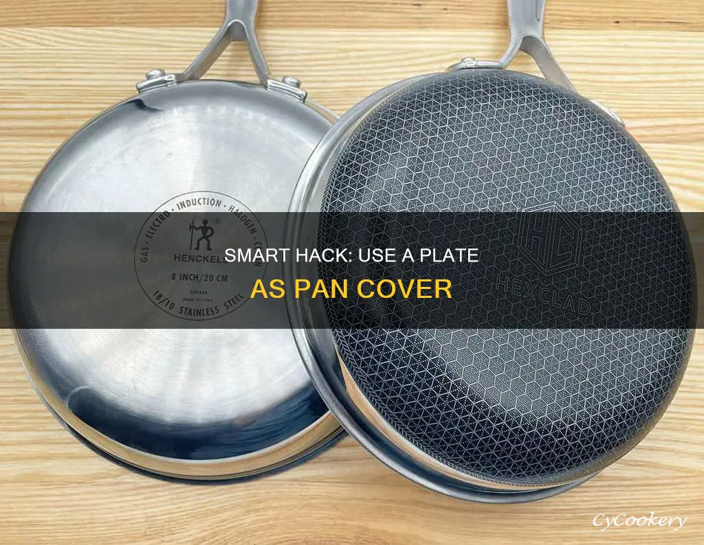 can I use a plate to cover a pan