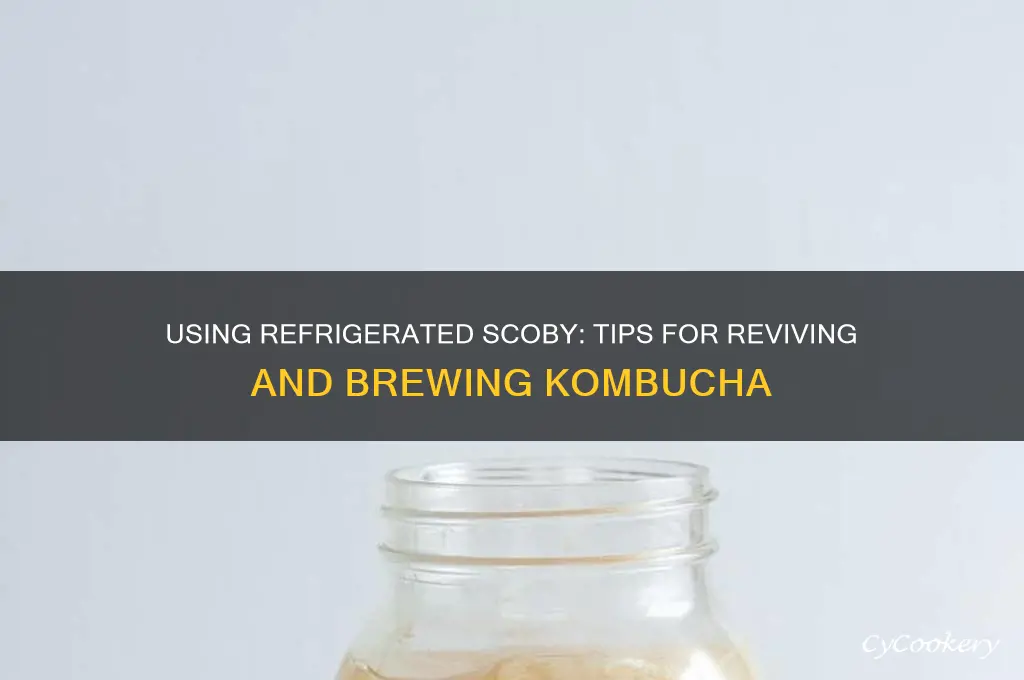can i use a refrigerated scoby