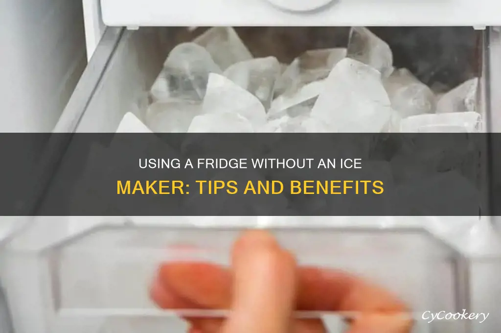 can i use a refrigerator without the ice maker