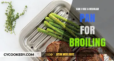 Broiling Basics: Can You Use Any Pan?