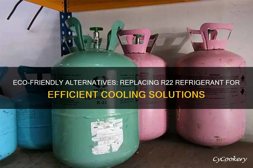 can i use a replacement for r22 refrigerant