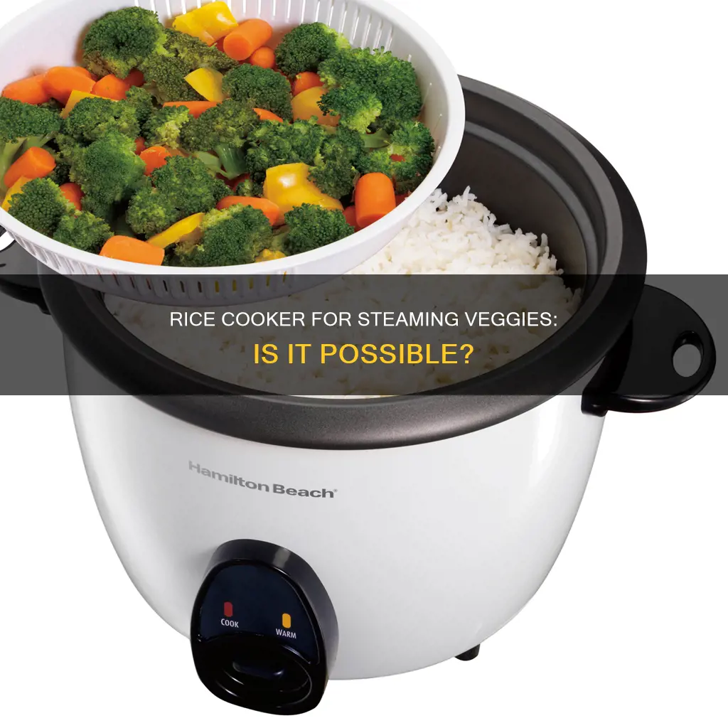 can i use a rice cooker as a vegetable steamer