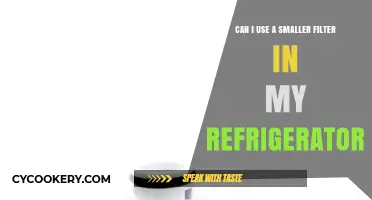 Smaller Filter in Your Fridge: Compatibility and Potential Risks Explained