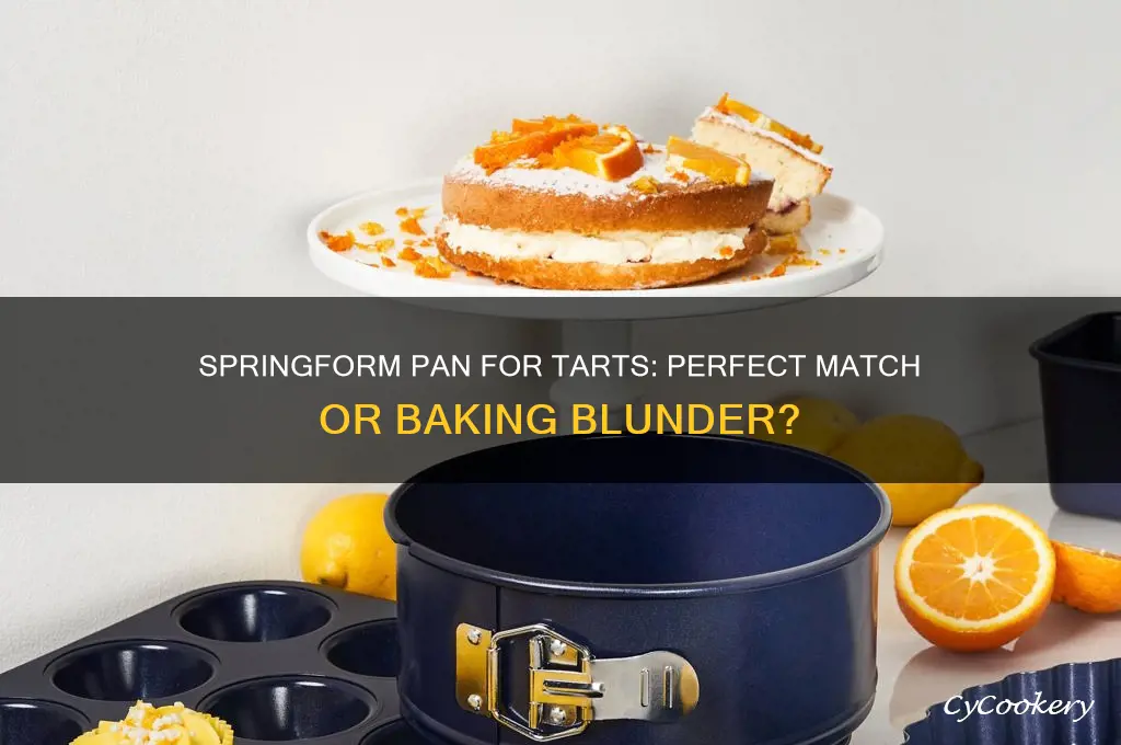 can I use a springform pan for a tart