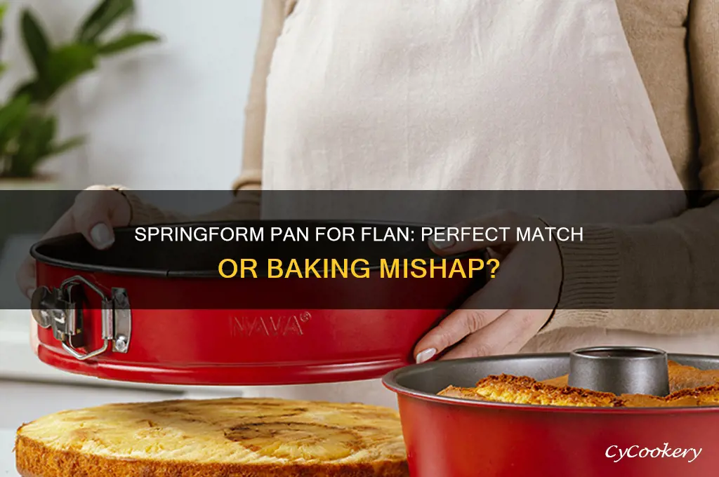 can I use a springform pan for flan