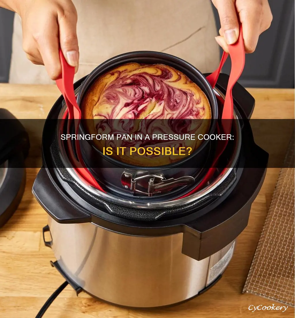 can I use a springform pan in my pressure cooker